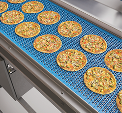 Materiale Dual Detectable di Rexnord